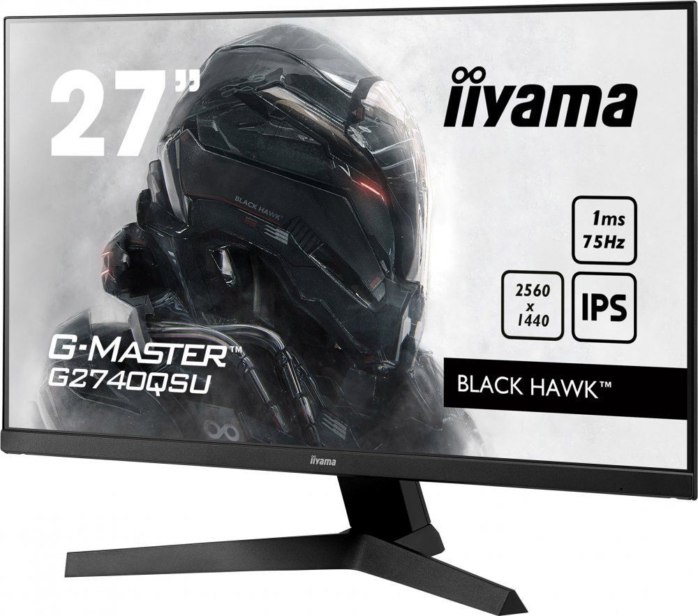 Игровой монитор Iiyama G-Master GB2590HSU-B1