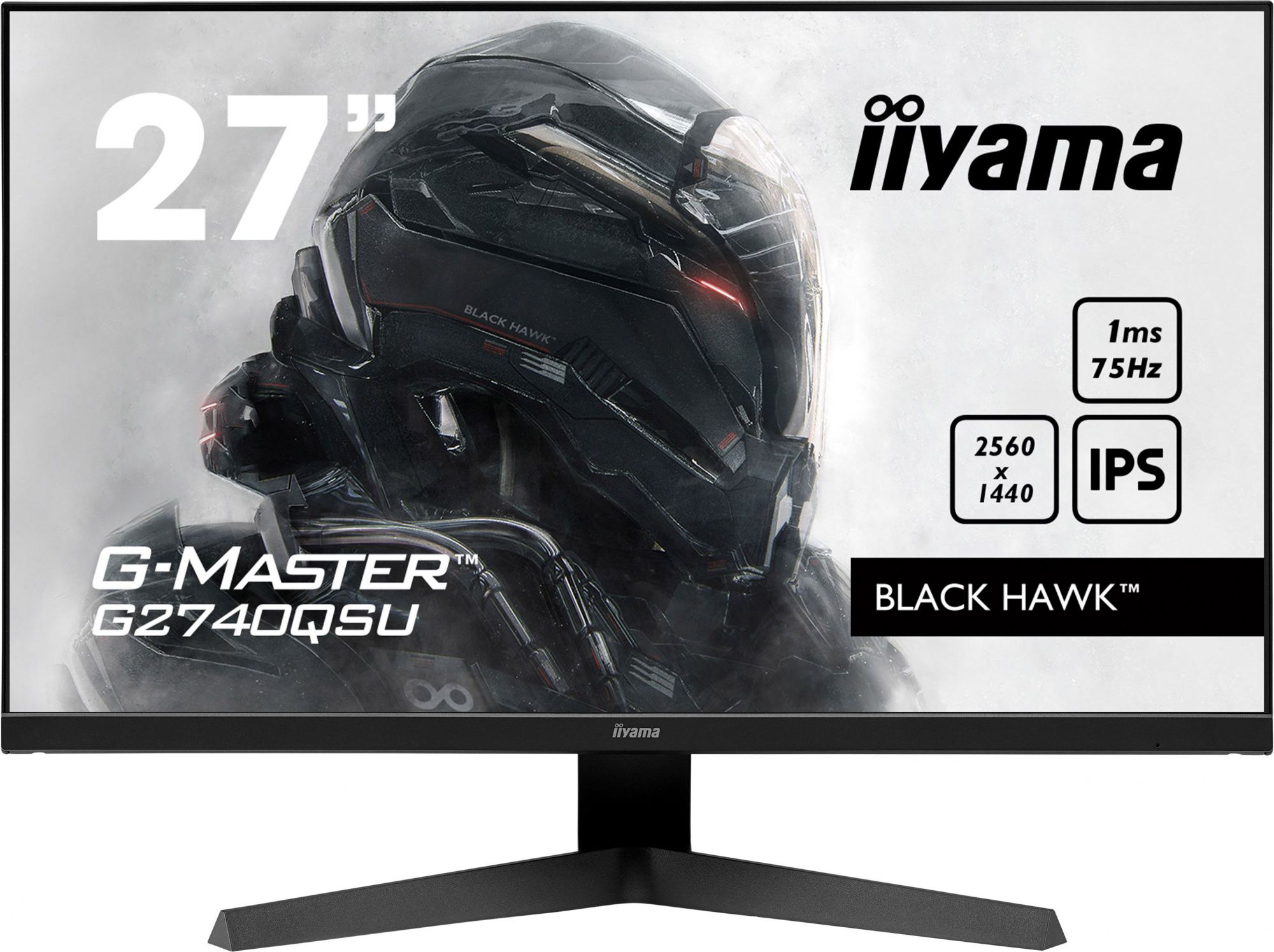 Игровой монитор Iiyama G-Master GB2590HSU-B1